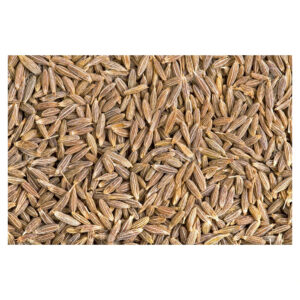 High Quality Organic Whole Cumin Seed Dried Best Exporter-High Quality Pure Organic Cumin Sale Wholesale Cheap Price