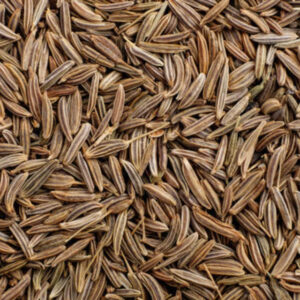 Premium Grade Cumin seed at factory price in bulk quantity