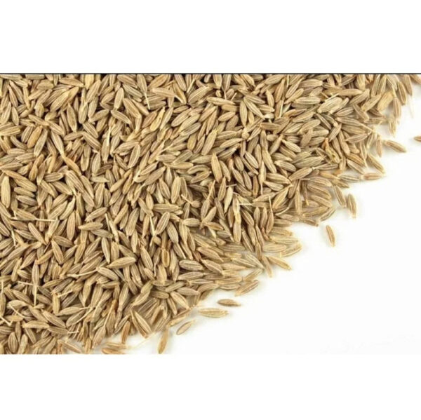 BEST BUY HIGH QUALITY CUMIN for SALE BEST QUALITY CUMIN PURE ORGANIC WHOLESALE EXPORTING WITH CHEAP PRICE