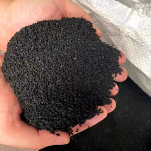 Black Seed Black Cumin Nigella Stative Seeds Dried Seed Herbs and Spices