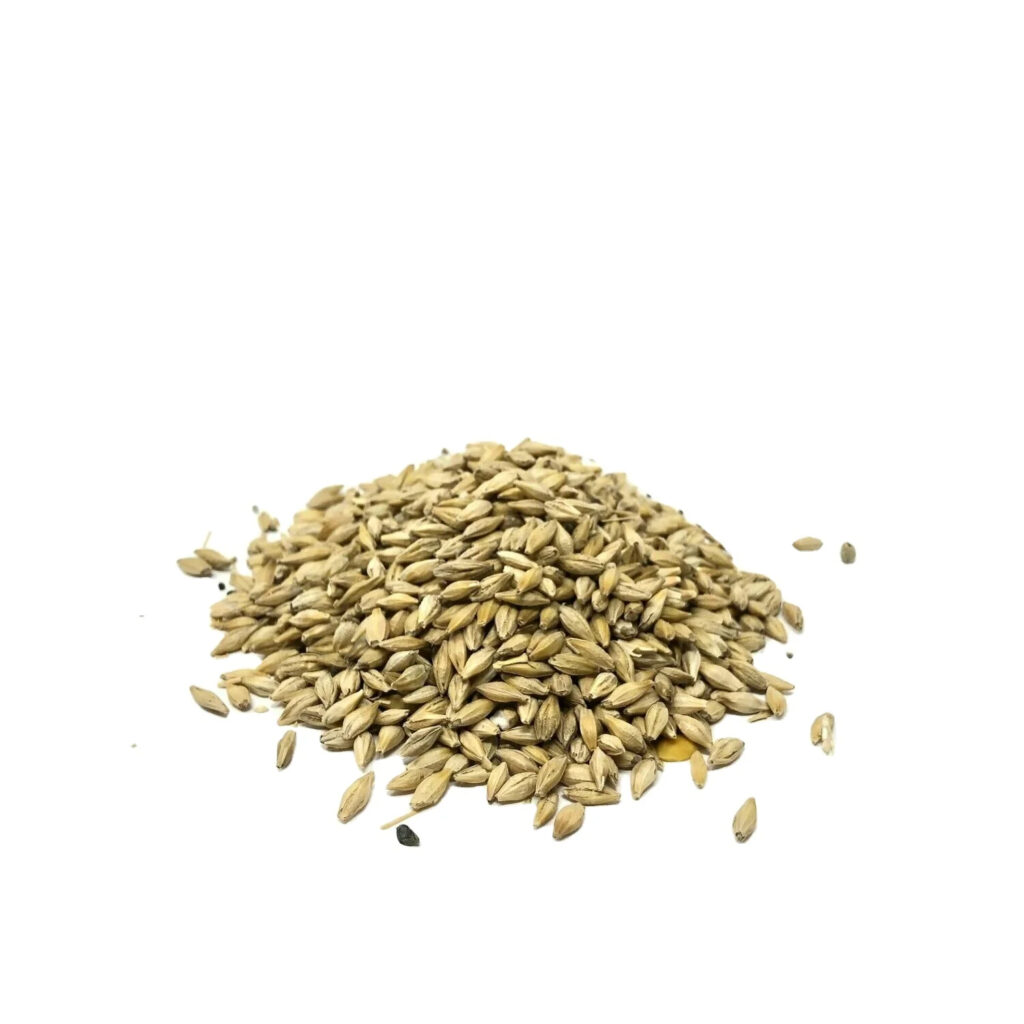 High Quality Organic Barley Grains Malt and Hulled Barley Pearl Barley Groats