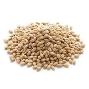 Wholesale Barley Grains Best Price Feed Barley Barley for Animal Feed and Human Consumption