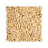 Barley Pure Herbal Green Wheat Barley Grass Barley Grass Extract