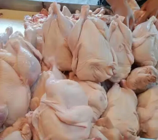 Wholesale Prices Whole Frozen Halal Chicken
