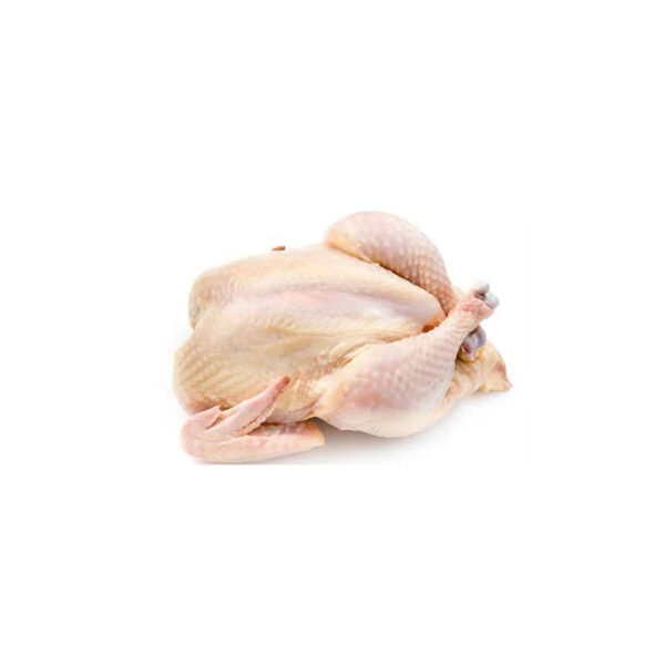 2025 Wholesale Thai Frozen Whole Chicken Frozen Chicken