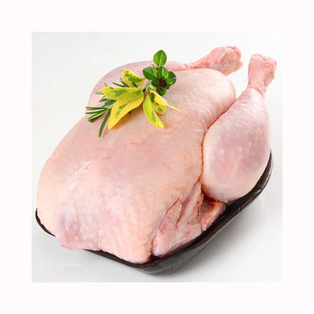 Halal Frozen Fresh Chicken From Brazil Quality Frozen Whole Halal Chicken and Chicken Parts