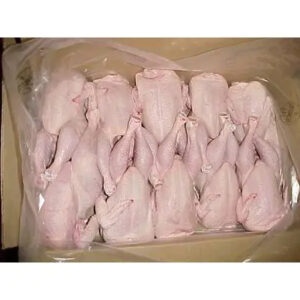 Frozen Whole Chicken Frozen Chicken for Sale Brazil Halal Whole Chicken Clean for Sale