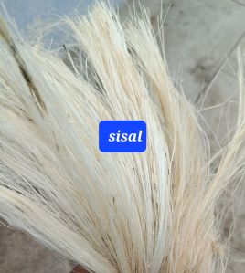Natural Raw Sisal Fibre For Spinning Clothing Bag Bedding