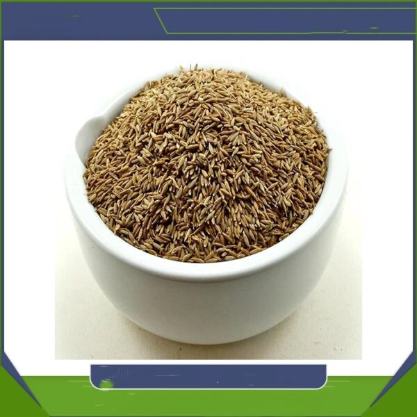 High Quality Organic Whole Cumin Seed Dried Best Exporter-High Quality Pure Organic Cumin Sale Wholesale Cheap Price - Image 2