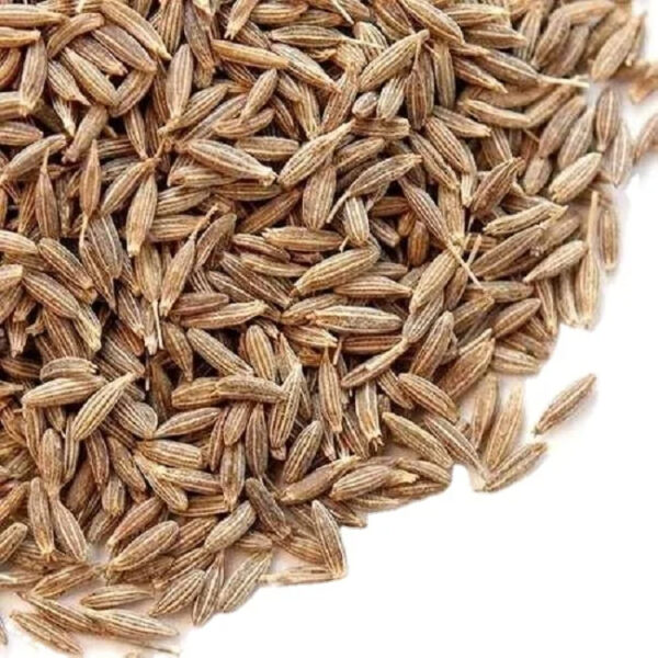 BEST BUY HIGH QUALITY CUMIN for SALE BEST QUALITY CUMIN PURE ORGANIC WHOLESALE EXPORTING WITH CHEAP PRICE - Image 2