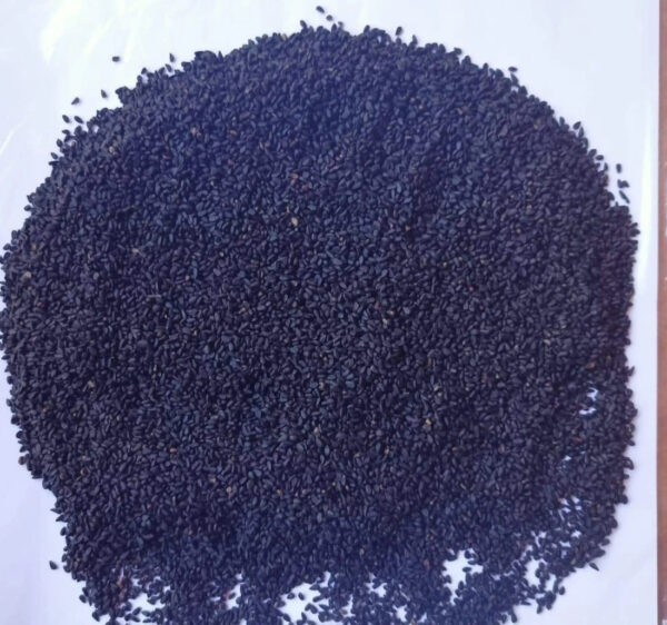 Black Seed Black Cumin Nigella Stative Seeds Dried Seed Herbs and Spices - Image 2