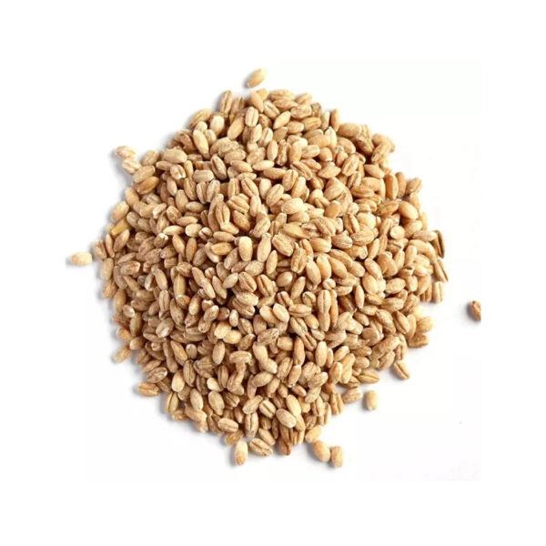 Wholesale Barley Grains Cheap Price Good Quality Highland Barley - Image 2