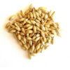 Wholesale Barley Grains Best Price Feed Barley Barley for Animal Feed and Human Consumption - Image 2