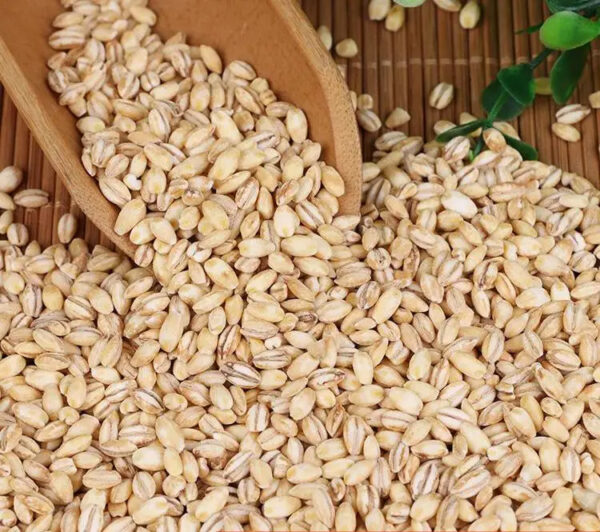 WHOLESALE HULLED PEARL BARLEY High Quality Wheat Wheat Grain Barley - Image 2