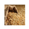 Wholesale Good Quality at Factory Price Barley Animal Feed Barley Seeds - Image 2