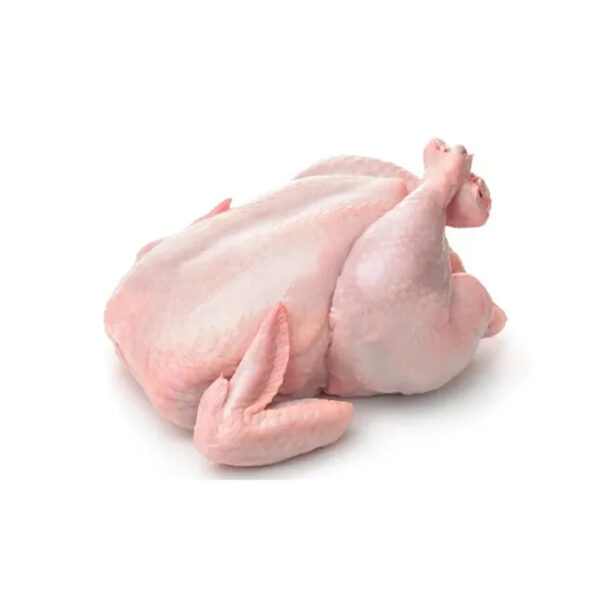 Hot Sale Low Price Frozen Whole Hen Chicken for Sale - Image 2