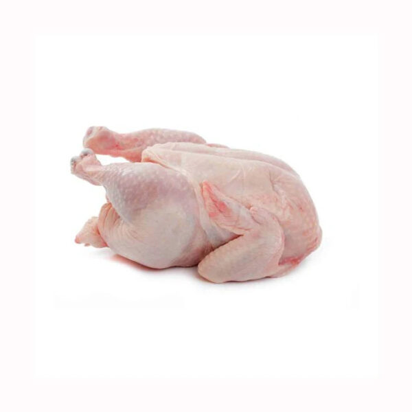 Halal Frozen Fresh Chicken From Brazil Quality Frozen Whole Halal Chicken and Chicken Parts - Image 2