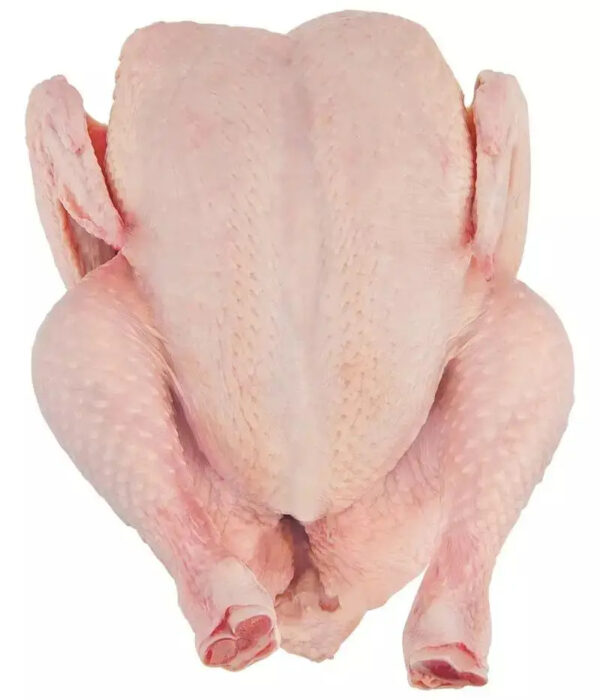 Brazilian Complete Chicken High Quality Chicken Meat Wholesale Prices Fresh Frozen Halal Frozen Chicken Feet Paws for Sale - Image 2