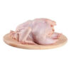 Frozen Whole Chicken for Sale - Image 2