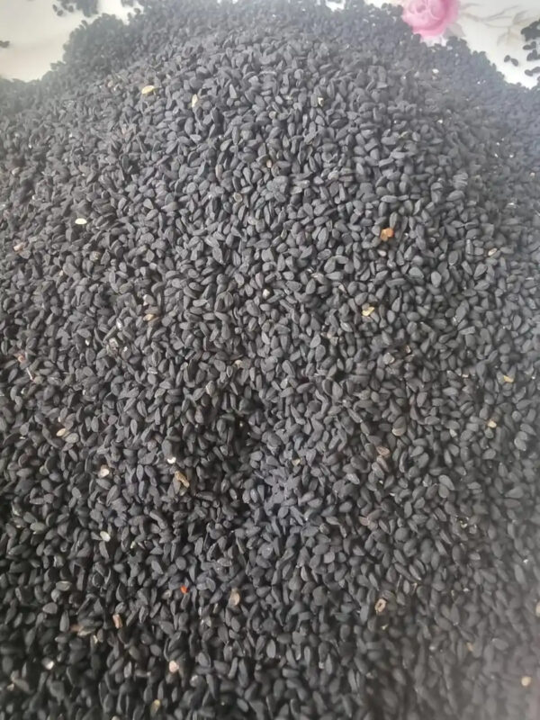 Black Seed Black Cumin Nigella Stative Seeds Dried Seed Herbs and Spices - Image 3