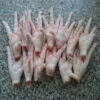 Brazilian Complete Chicken High Quality Chicken Meat Wholesale Prices Fresh Frozen Halal Frozen Chicken Feet Paws for Sale - Image 3