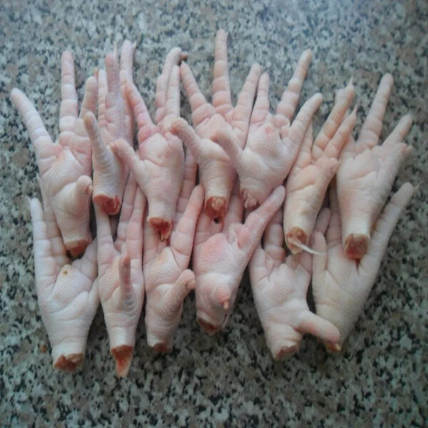 Brazilian Complete Chicken High Quality Chicken Meat Wholesale Prices Fresh Frozen Halal Frozen Chicken Feet Paws for Sale - Image 3