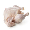 Premium Quality Frozen Chicken for Sale Whole Frozen Chicken at Good Price Rate - Image 3