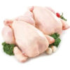 Frozen Whole Chicken for Sale - Image 3