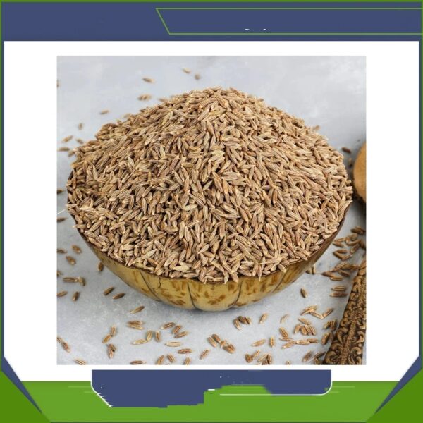 High Quality Organic Whole Cumin Seed Dried Best Exporter-High Quality Pure Organic Cumin Sale Wholesale Cheap Price - Image 5
