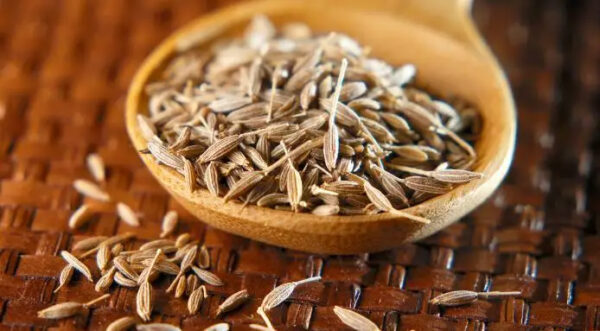 Best in Organic Cumin Seed Exports from India direct from sources - Image 4