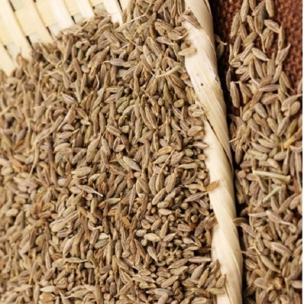 BEST BUY HIGH QUALITY CUMIN for SALE BEST QUALITY CUMIN PURE ORGANIC WHOLESALE EXPORTING WITH CHEAP PRICE - Image 4