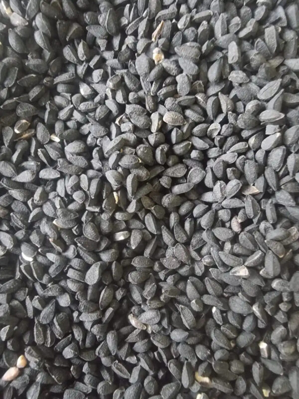 Black Seed Black Cumin Nigella Stative Seeds Dried Seed Herbs and Spices - Image 4