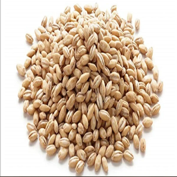 Hot Sales HIGH GRADE BARLEY MALT GRAINS for HUMAN CONSUMPTION - Image 4