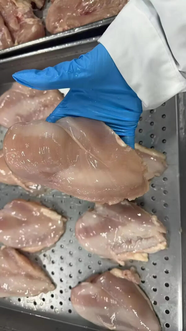Wholesale High Quality Halal Frozen Chicken Breast Price - Image 4