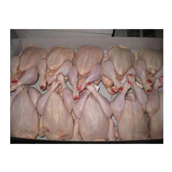 Premium Grade Fresh Frozen Chicken in a Best Rate - Image 4
