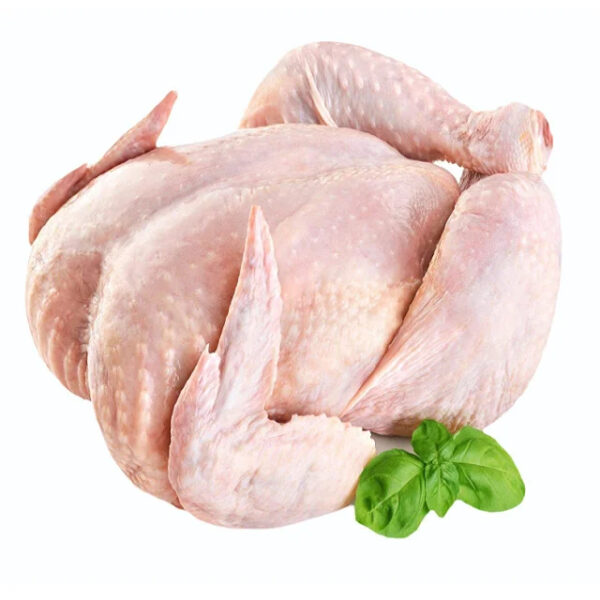 Fast Delivery Wholesale Halal Frozen Whole Chicken for Sale in Stock Best Price Buy Now - Image 4