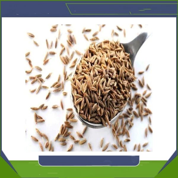 High Quality Organic Whole Cumin Seed Dried Best Exporter-High Quality Pure Organic Cumin Sale Wholesale Cheap Price - Image 4