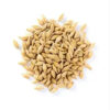 Hot Sales HIGH GRADE BARLEY MALT GRAINS for HUMAN CONSUMPTION - Image 5