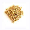 Wholesale 100% Organic Barley for Malt Barley Grain Ready for Export Great Barley for Sale in Bulk - Image 4