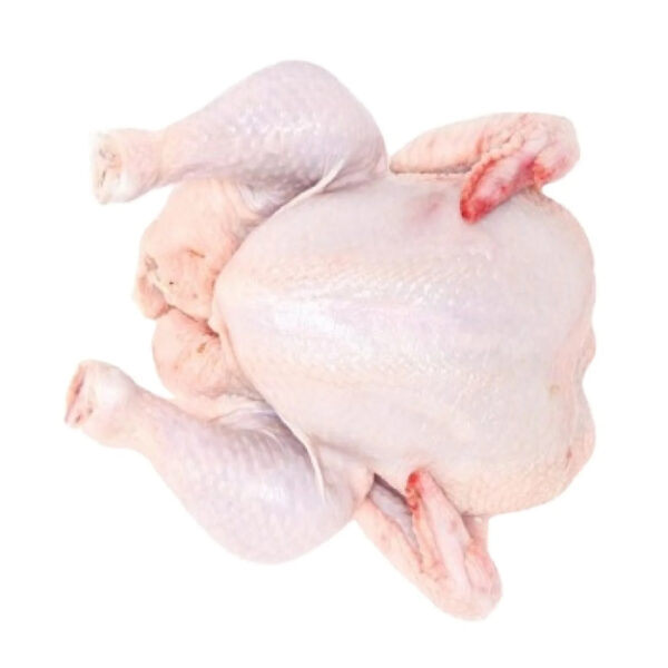 Whole Chicken Frozen Halal Whole Chicken Low Price Competitive Price High Quality - Image 5