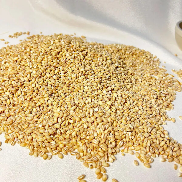 Wholesale Barley Grains Cheap Price Good Quality Highland Barley Quality Barley Groats Natural for Sale - Image 5