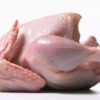 Brazilian Complete Chicken High Quality Chicken Meat Wholesale Prices Fresh Frozen Halal Frozen Chicken Feet Paws for Sale - Image 5