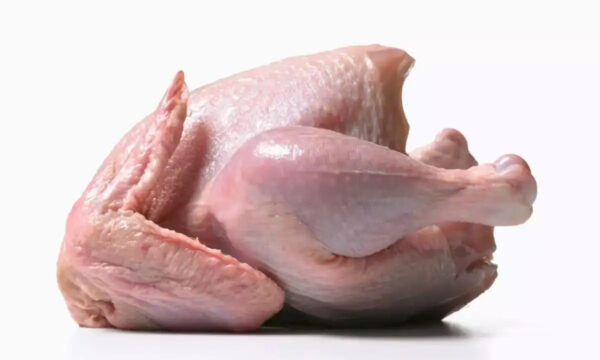 Brazilian Complete Chicken High Quality Chicken Meat Wholesale Prices Fresh Frozen Halal Frozen Chicken Feet Paws for Sale - Image 5