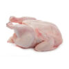 Frozen Whole Chicken for Sale - Image 5