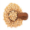Hot Sales HIGH GRADE BARLEY MALT GRAINS for HUMAN CONSUMPTION - Image 6