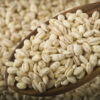 Wholesale Barley Grains Best Price Feed Barley Barley for Animal Feed and Human Consumption - Image 5