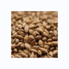 Wholesale 100% Organic Barley for Malt Barley Grain Ready for Export Great Barley for Sale in Bulk - Image 5