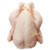 Premium Quality Frozen Chicken for Sale Whole Frozen Chicken at Good Price Rate - Image 6