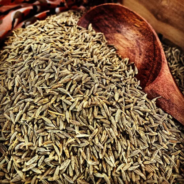 Bulk Cumin Seeds for Restaurant and Food Processing Use Single Spices & Herbs - Image 6