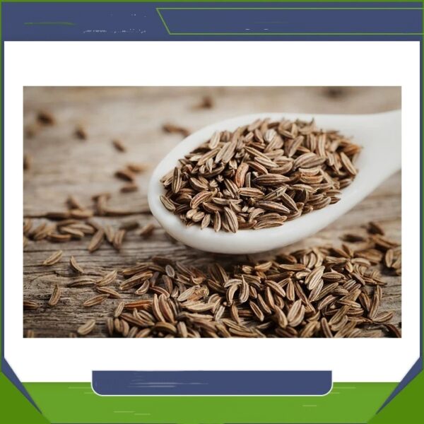 High Quality Organic Whole Cumin Seed Dried Best Exporter-High Quality Pure Organic Cumin Sale Wholesale Cheap Price - Image 6